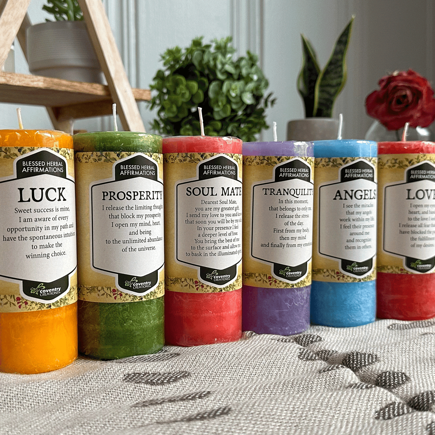 Coventry Creations Affirmation candle restocking set, 6 affirmation candles with flower and plants behind