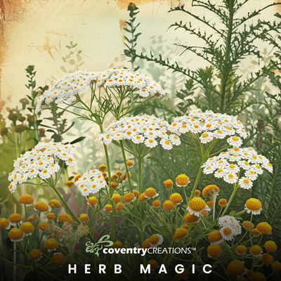 June2024 HerbMagic